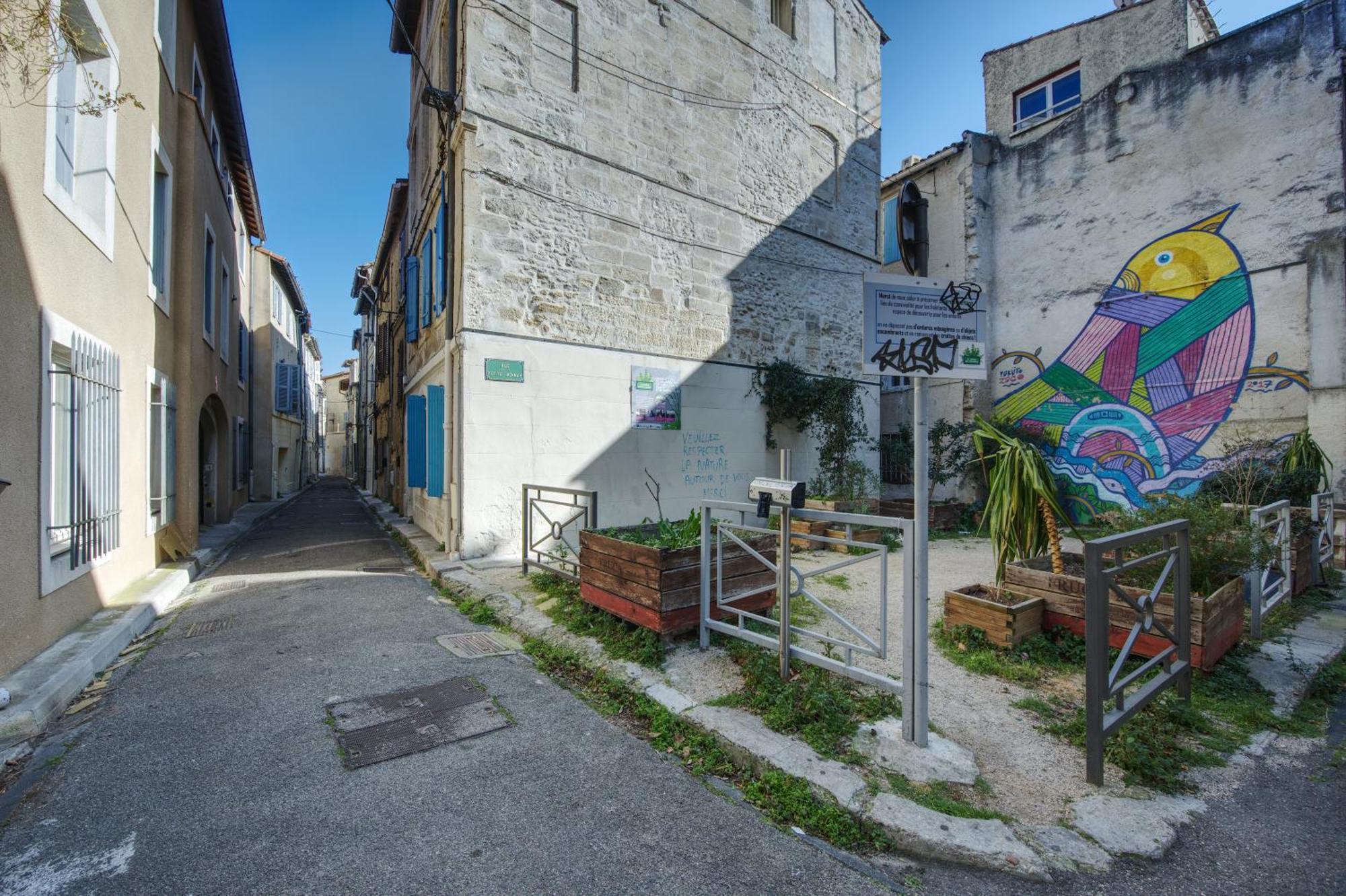 Appartement Cosy Avignon Centre-Ville Екстериор снимка